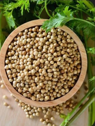 Coriander Seeds